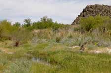 Shoshone interpretive trail