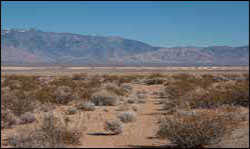 Desert Shoshone Village