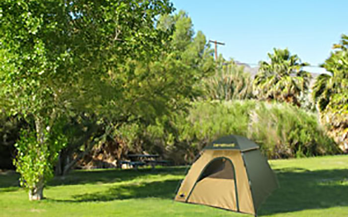 Reserve a campsite at Shoshone campground.