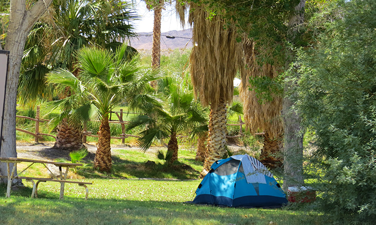 Shoshone Campground