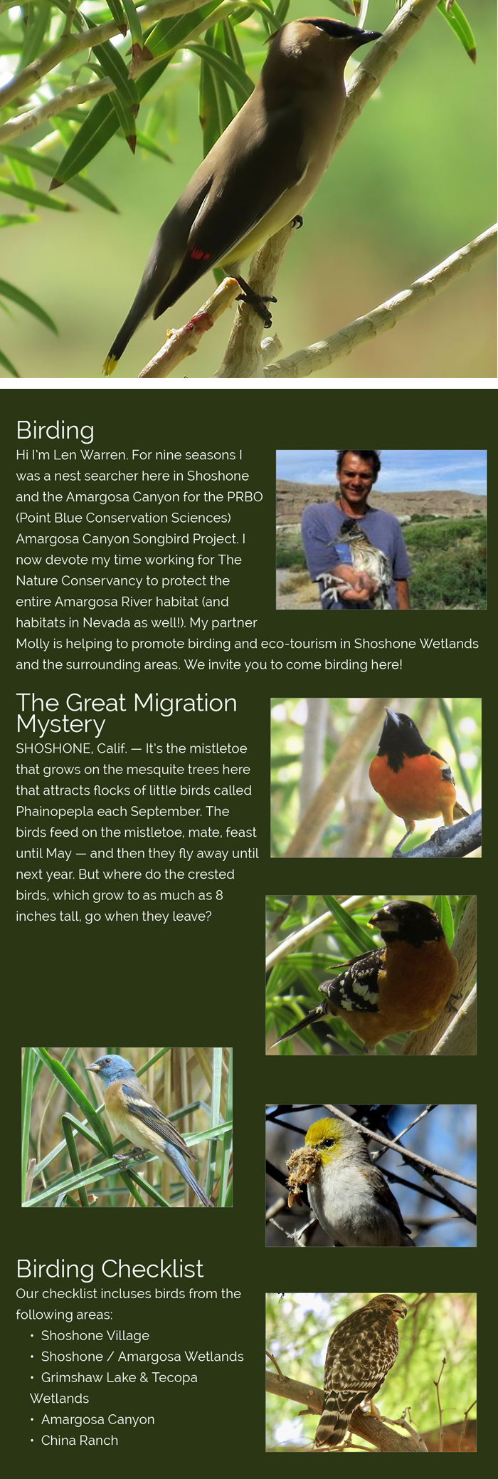 Shoshone Village Birding
