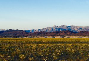 Shoshone Village